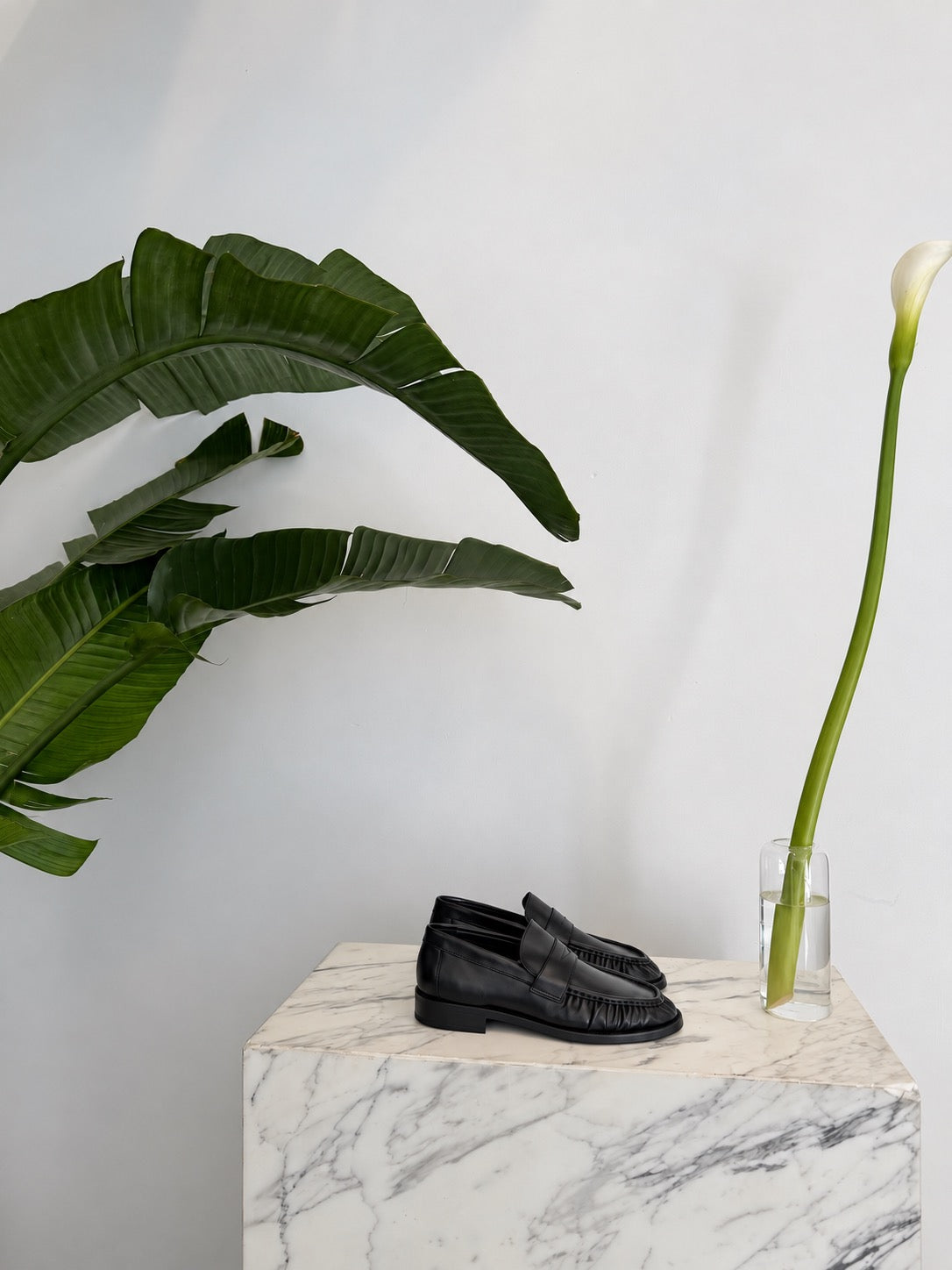 Black leather moccasins on marble framed by green leaves and a calla lily