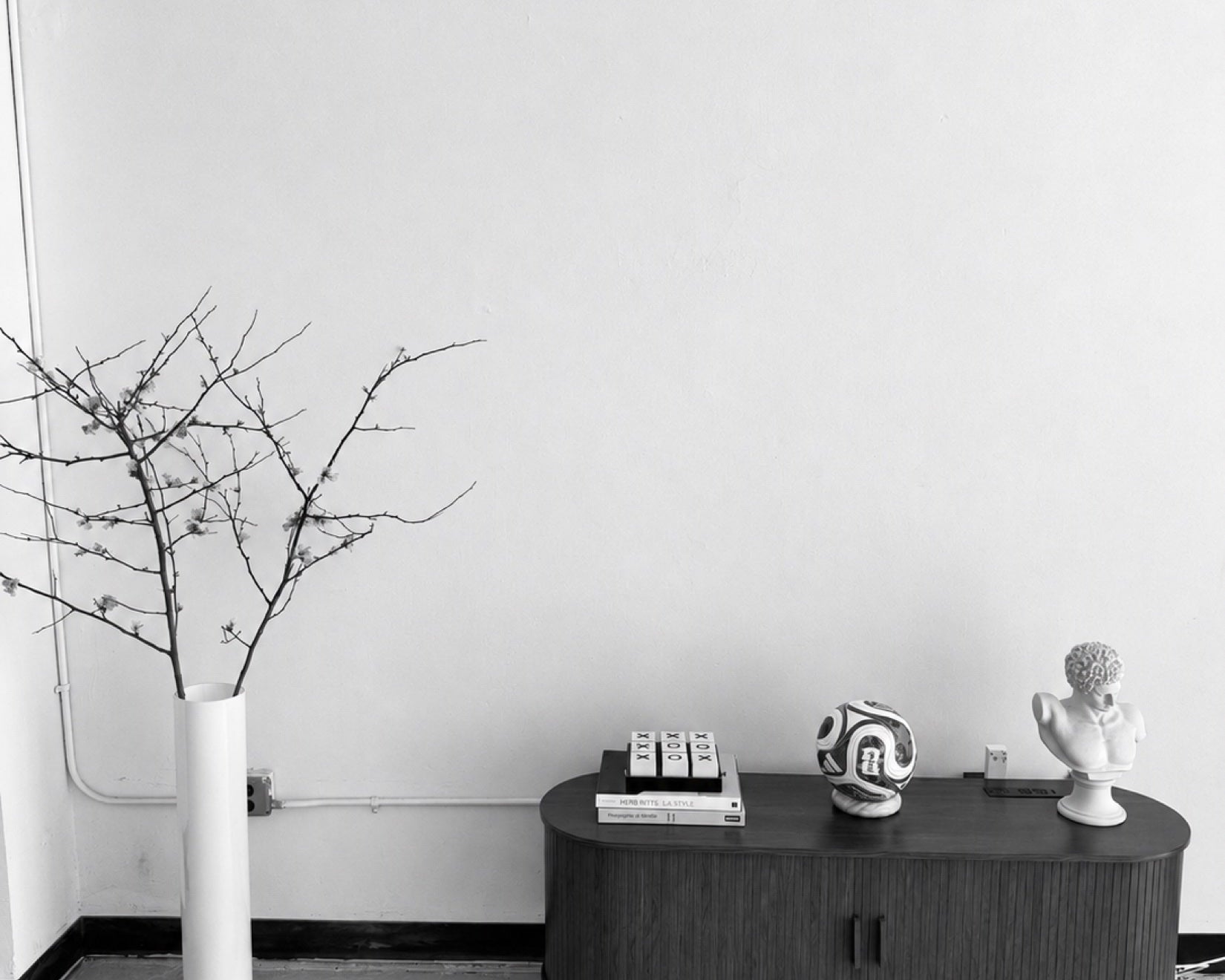 A ball, a bust, a branch and the daily arrangement of the House.