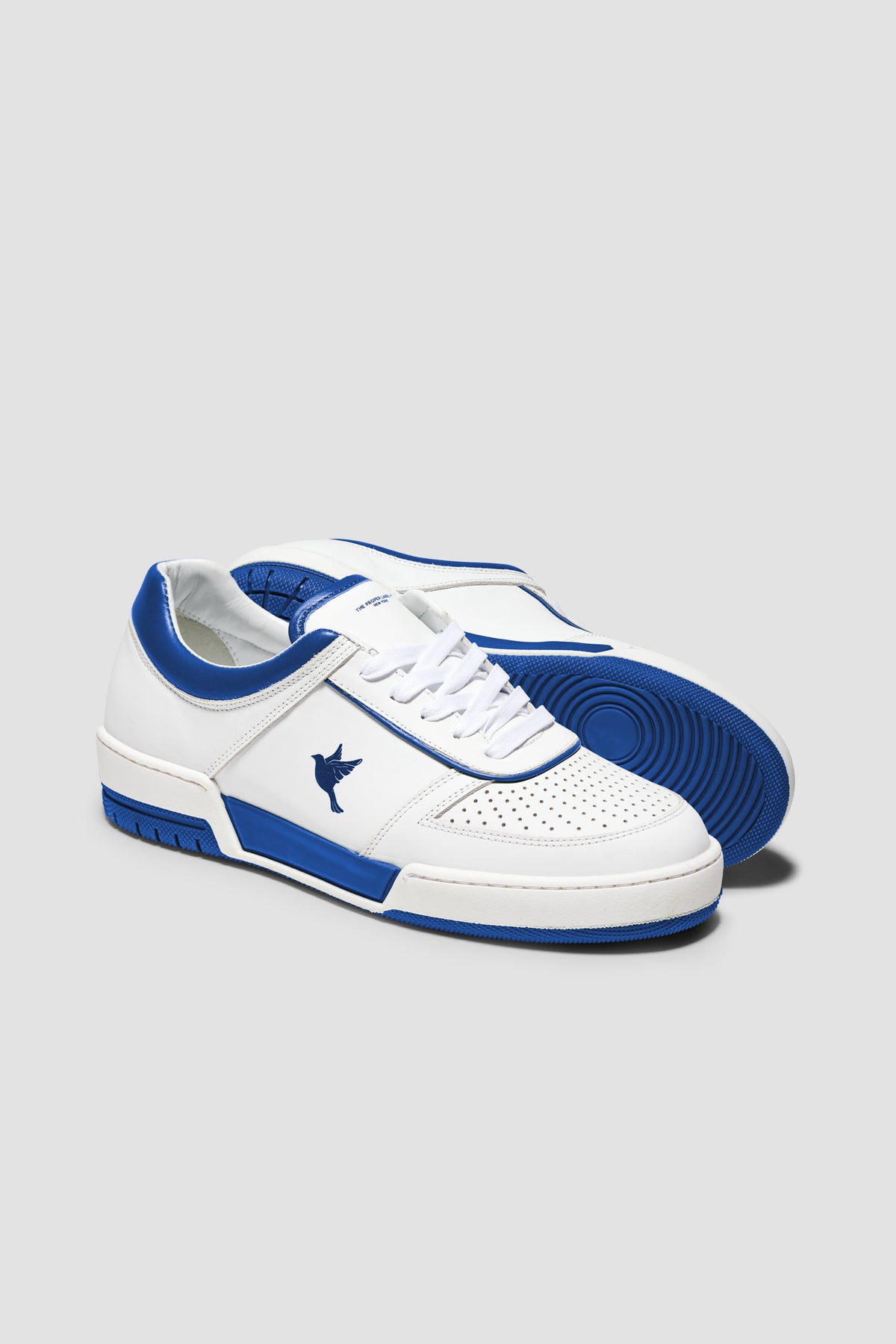 The PR003 — White / Blue — studio view 04