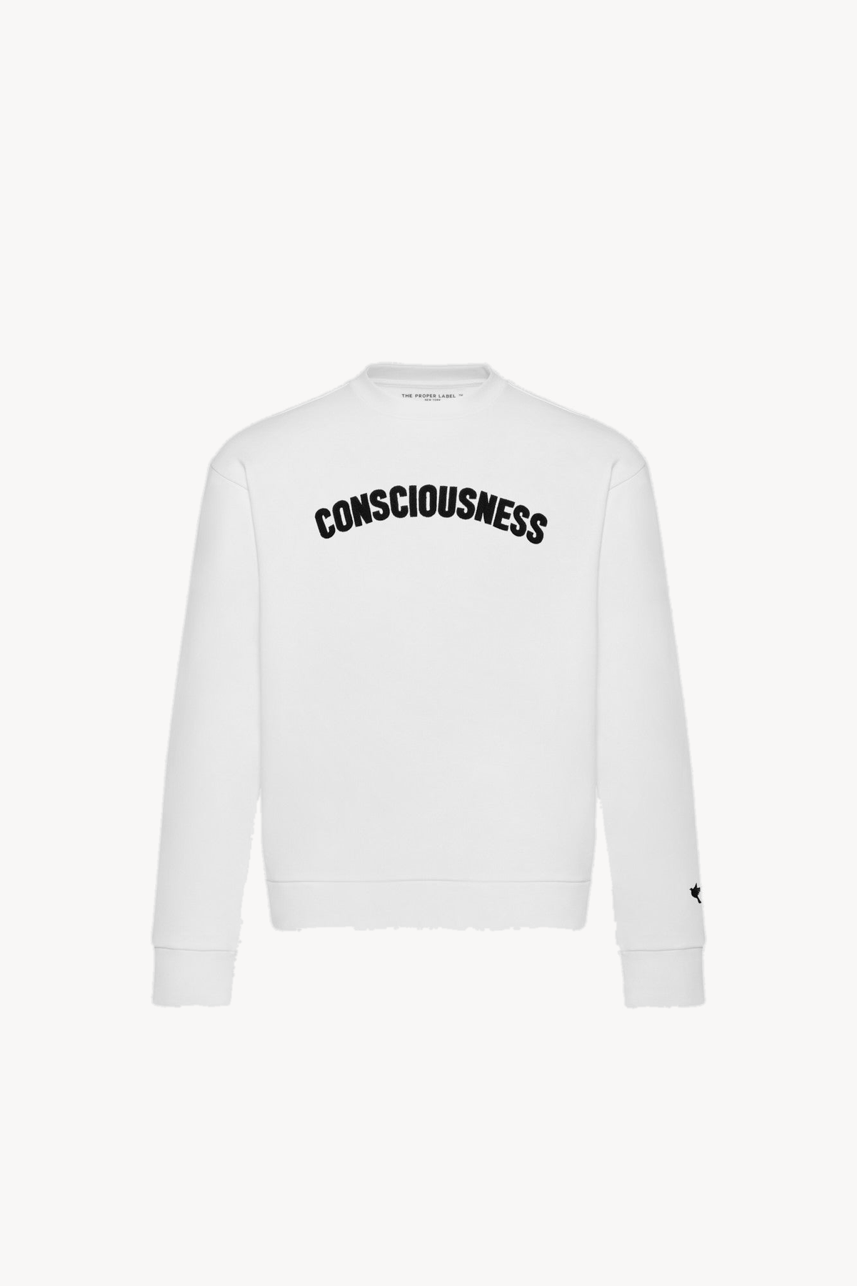 Consciousness sweatshirt — white — 1