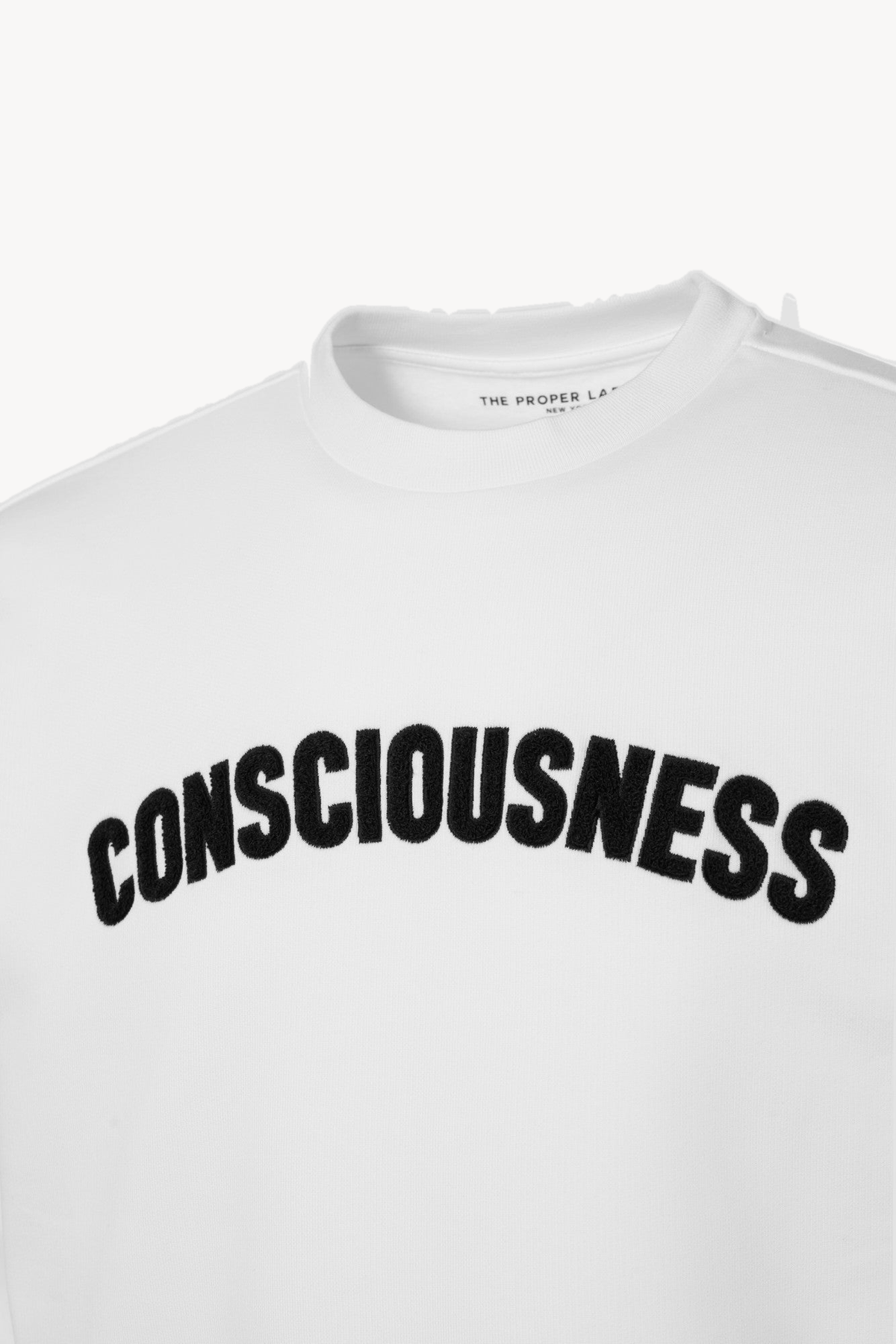 Consciousness sweatshirt — white — 2