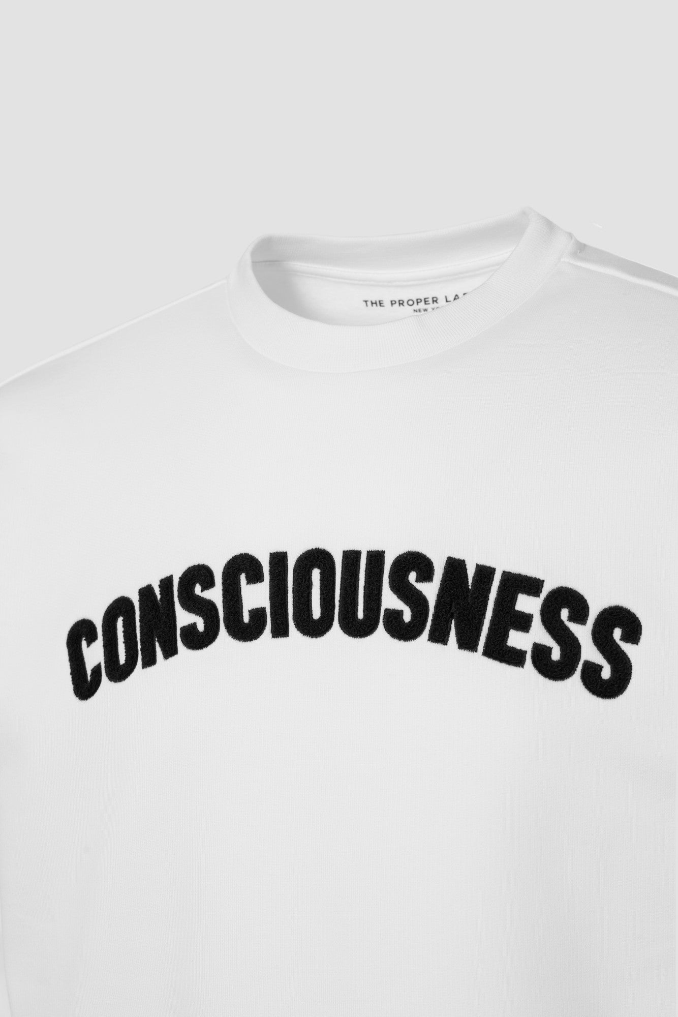 Consciousness sweatshirt — white — 2