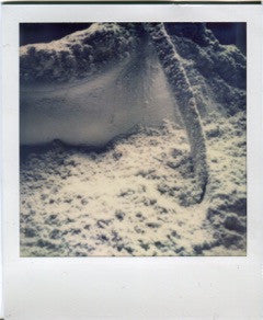 Polaroid showing part of a white sneaker and its lace in a powdery material.