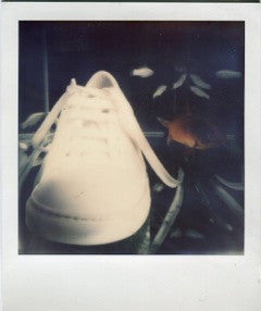 Polaroid of a white sneaker seen from the front against a dark reflective background.